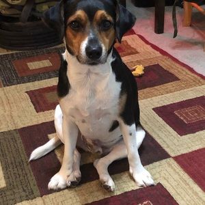 Meet your Posher, Jade